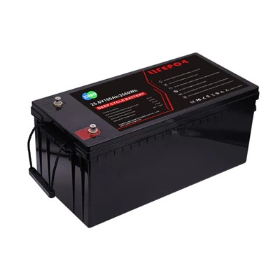 Batterie à cycle profond de secours pour camping-car 24V 100AH