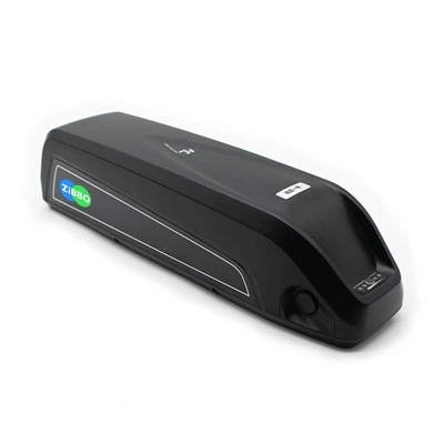 Batterie de vélo électrique Sea Dragon 1 36V 48V